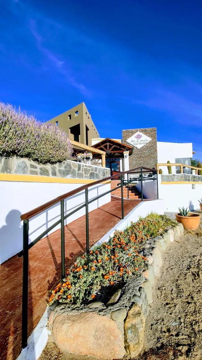 Acceso al hotel entre lavandas